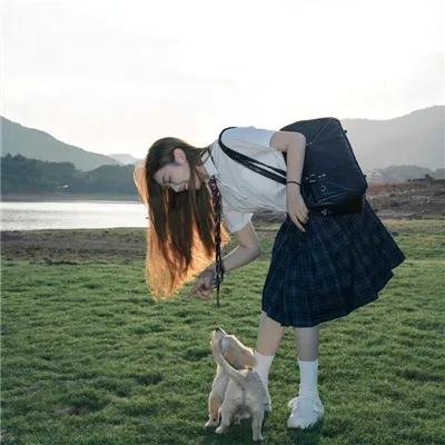 燕尾蝶